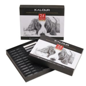 Kalour 24pcs Compressed Charcoal and Soft Pastel Stick Set