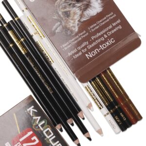 KALOUR Soft Core 12pcs Black, White and Brown Charcoal Pencil Set